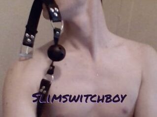 Slimswitchboy