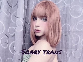 Soary_trans