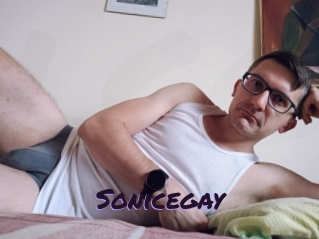 Sonicegay