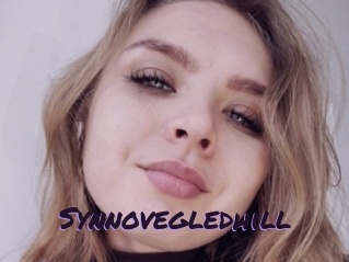 Synnovegledhill