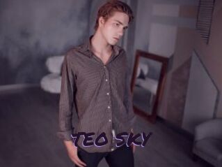 TEO_SKY