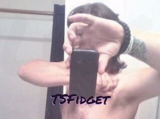 TSFidget