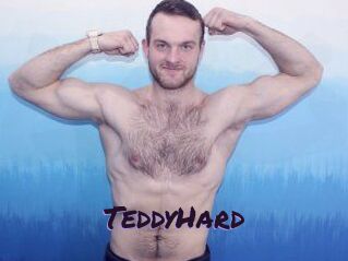 TeddyHard