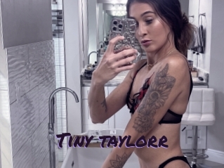 Tiny_taylorr