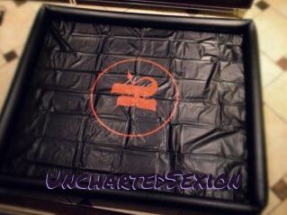 UnchartedSexion