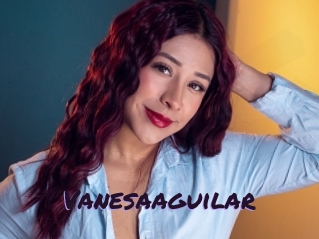 Vanesaaguilar