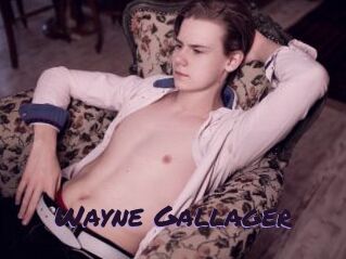 Wayne_Gallager