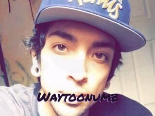 Waytoonumb