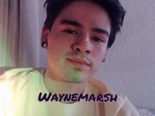 Waynemarsh