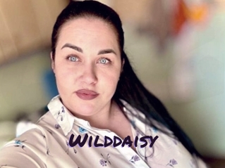 Wilddaisy