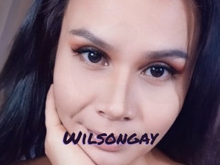 Wilsongay