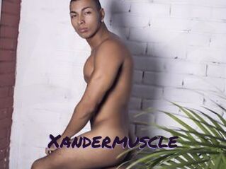 Xandermuscle