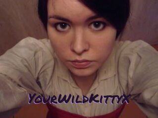 YourWildKittyX Le Cul Gratuit