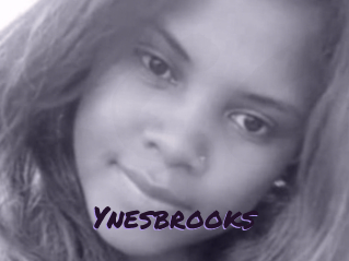 Ynesbrooks