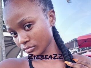 Ziebea22